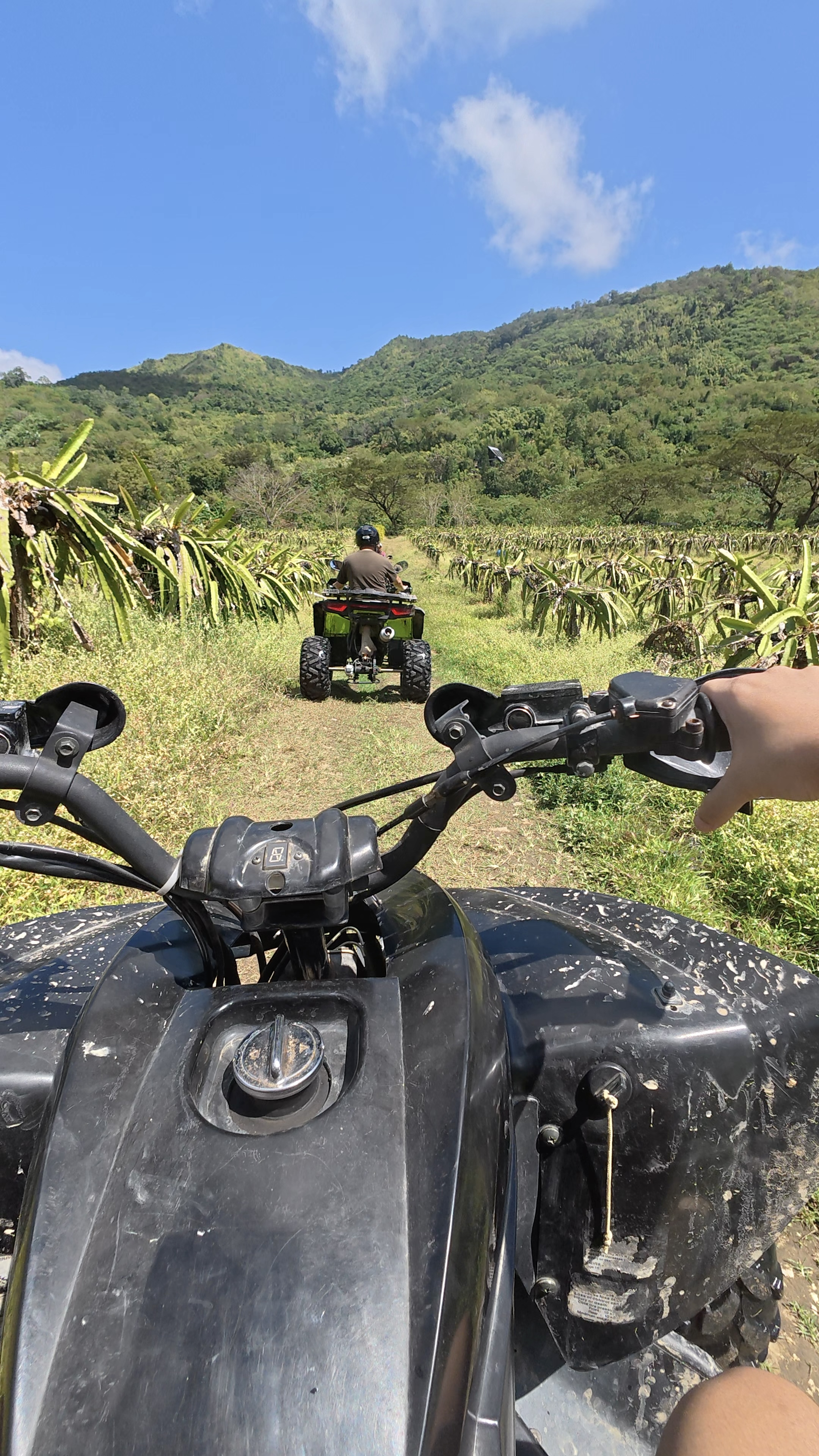 Profile picture of @Island Hopping Adventures